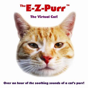 The Virtual Cat!