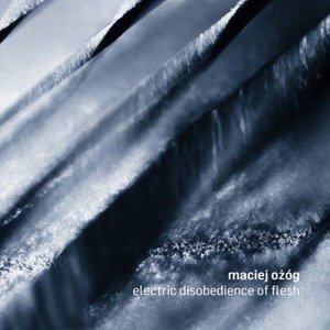Electric Disobedience Of Flesh