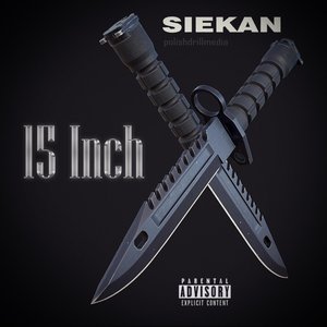 15 Inch