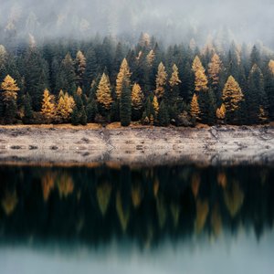 Fog over the Lake - Single