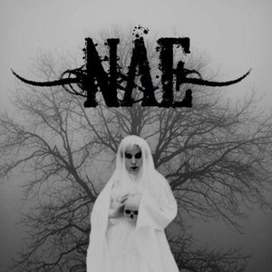 “Nåe”的封面