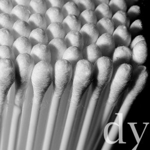 Cotton-buddy 的头像
