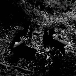 “Morbid Forest Filled With Hedgehogs”的封面