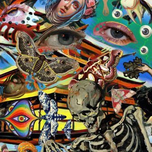 Subterranean.Egyptian.Sea.Monkeys