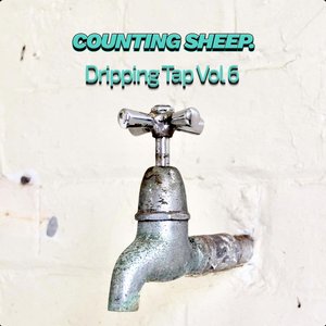 Dripping Tap, Vol. 6