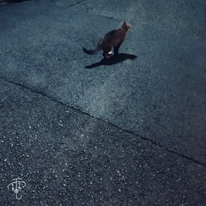 もしも