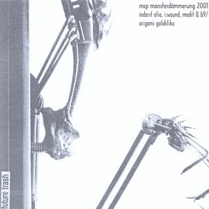 Inderst Elia / I: Wound / Medit / B9  / Origami Galaktika 的头像
