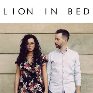 Lion in bed