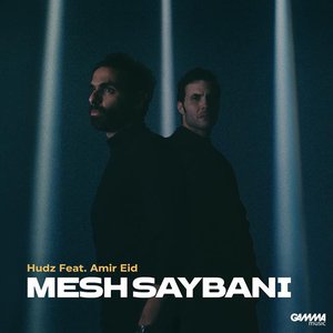 Mesh Saybani