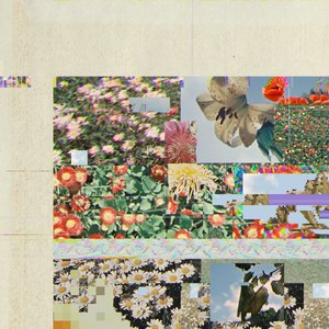 fig tree long walk 6am