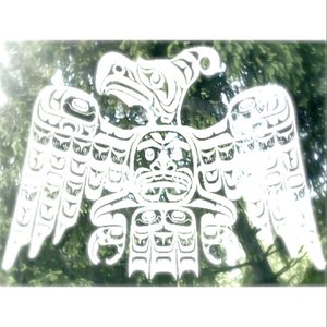 white crow