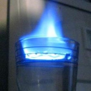 The Flaming Sambucas 的头像