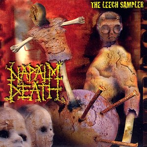 The Leech Sampler