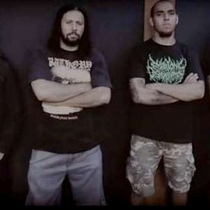 Coffinfeeder のアバター