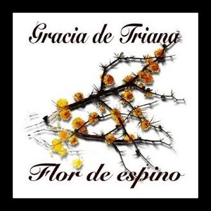 Flor de Espino