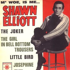 Shawn Elliott のアバター