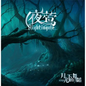 月光下的舞蹈