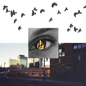 Birds Like Little Soldiers