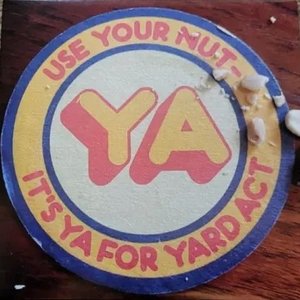 Use Your Nut - It's YA For Yard Act