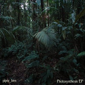 Photosynthesis EP