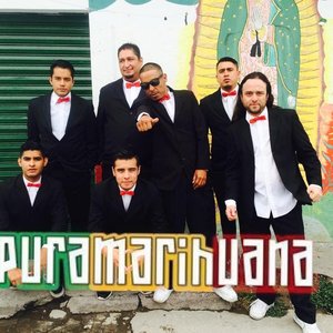 Pura Marihuana 的头像