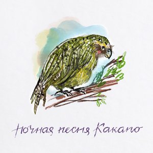 Ночная песня Какапо