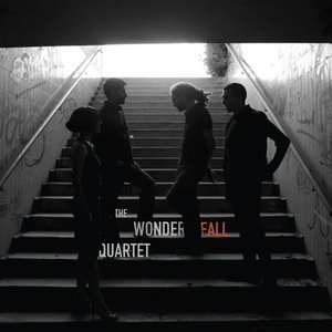Image for 'the wonderfall quartet'
