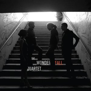 Avatar for the wonderfall quartet