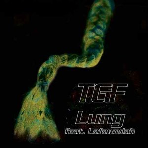 Lung (feat. Lafawndah) - Single