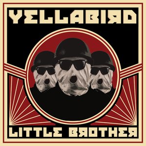 Little Brother