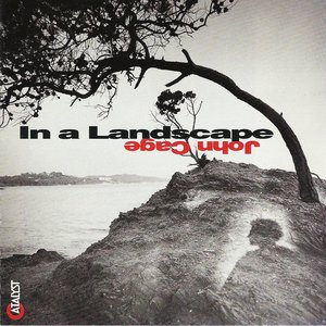 In A Landscape