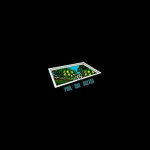 Pool und Garten