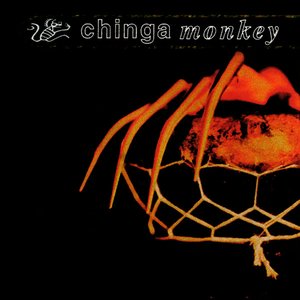 chinga monkey