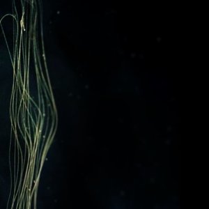Underworld - Single
