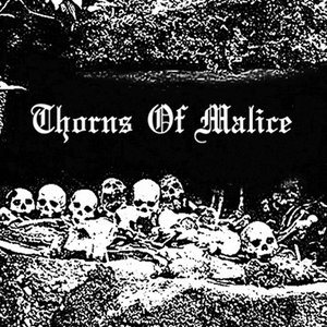 The Clarity of Hatred