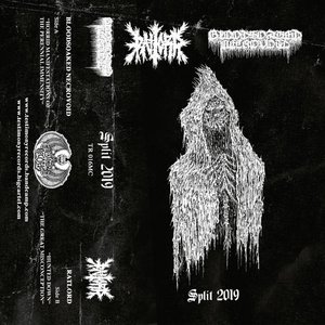 Split 2019 - Single