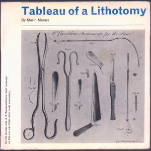 Tableau Of A Lithotomy