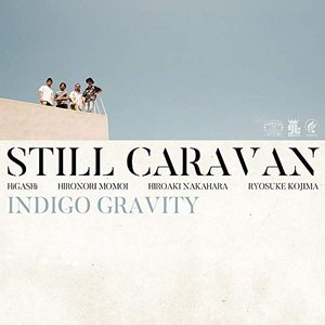 Indigo Gravity