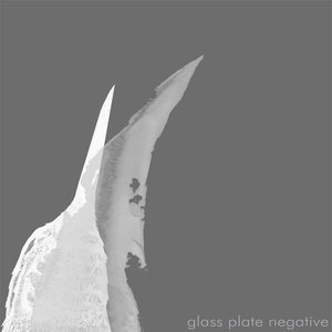 Glass Plate Negative - Single