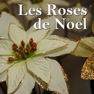 Les roses de Nœl