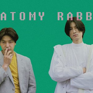 Avatar for Anatomy Rabbit