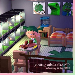 young adult fiction