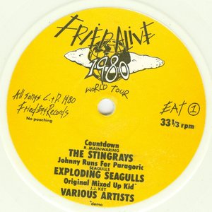 Fried Alive 1980 World Tour EP