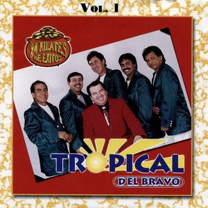 24 Kilates de Exitos, Vol. 1