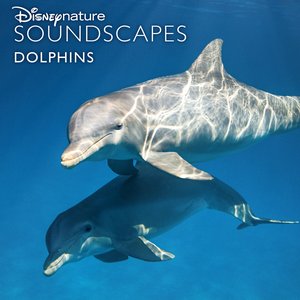 Disneynature Soundscapes: Dolphins