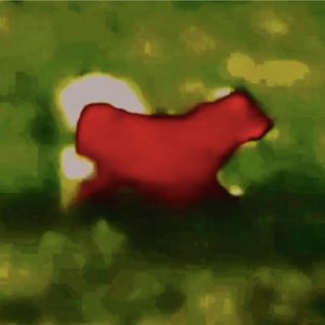 My Eyes Hurt! - Single