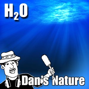 H2O (Nature Sounds)