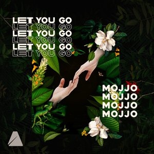 Let You Go