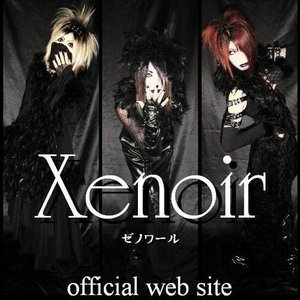 Xenoir 的头像