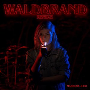 Waldbrand EP (Remixe)